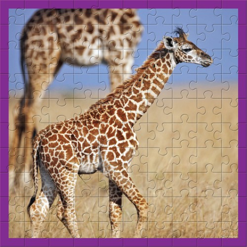 Uitgestorven Buitengewoon vlees WWF 100 pc puzzle - Giraffes
