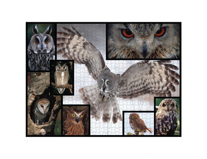 WWF 1000 piece puzzle - Owls