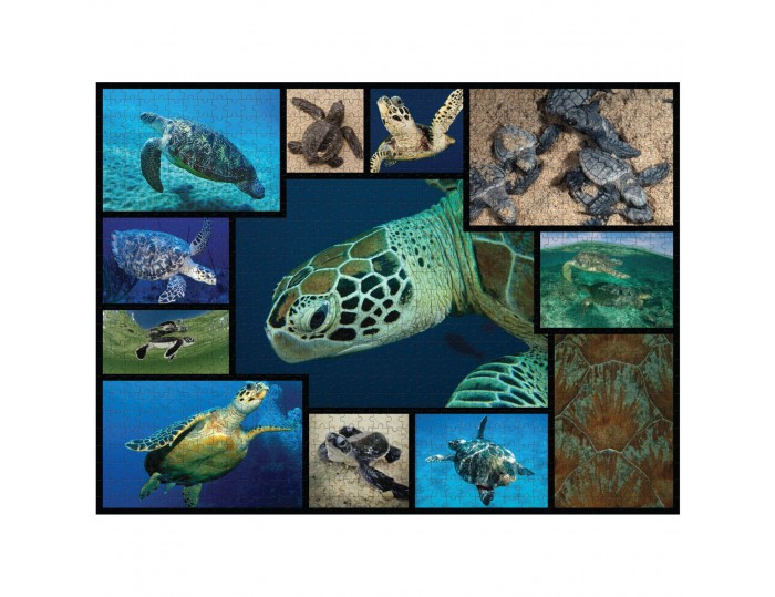 WWF 1000 piece puzzle - Sea Turtles