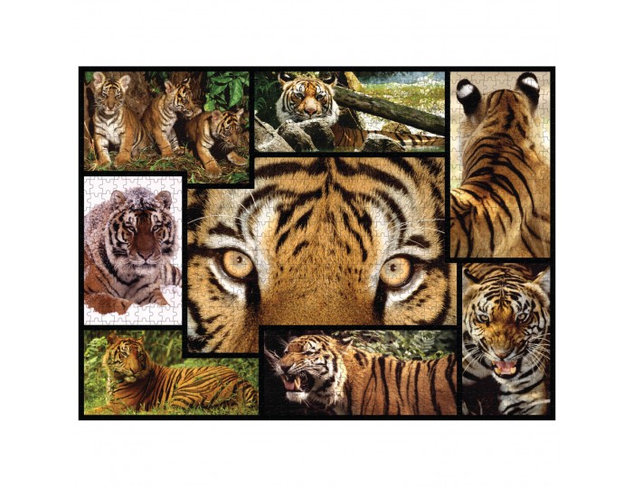 WWF 1000 piece puzzle - Tigers