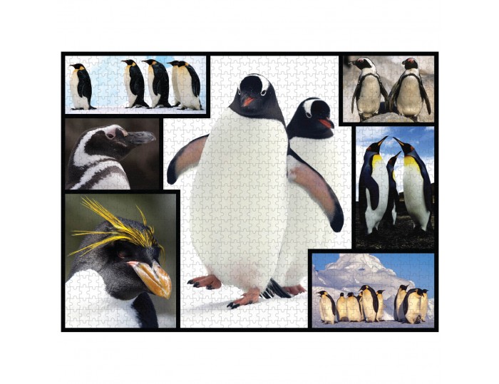 WWF 1000 piece puzzle - Penguins