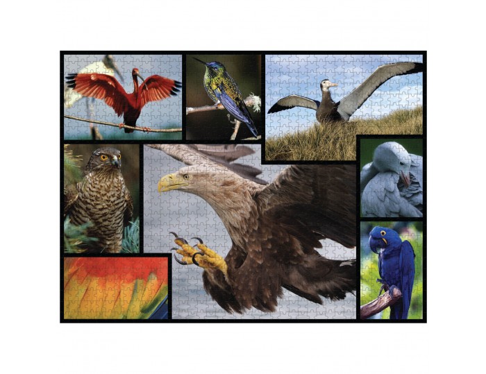 WWF 1000 piece puzzle - Birds