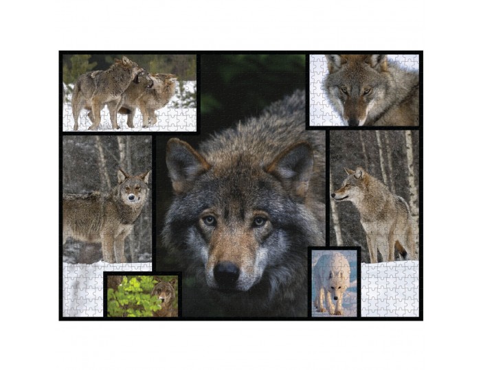 WWF 1000 piece puzzle - Wolves