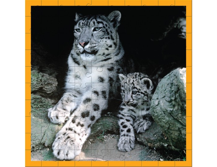 WWF 100 pc puzzle - Snow Leopards