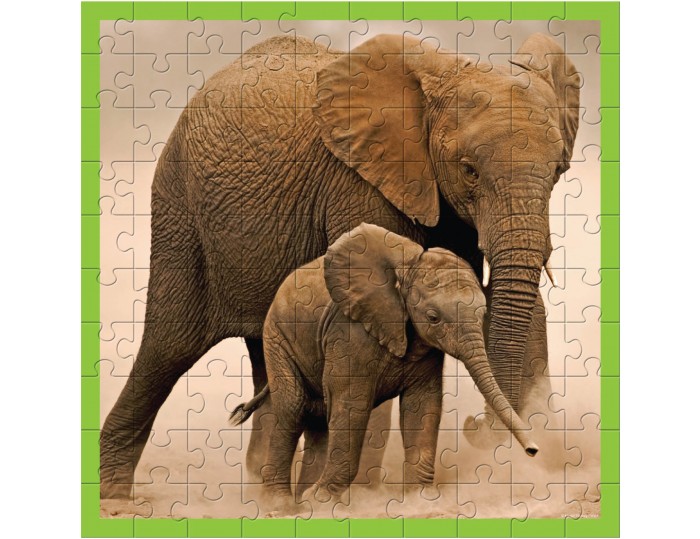 WWF 100 pc puzzle - Elephants