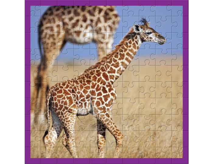 WWF 100 pc puzzle - Giraffes