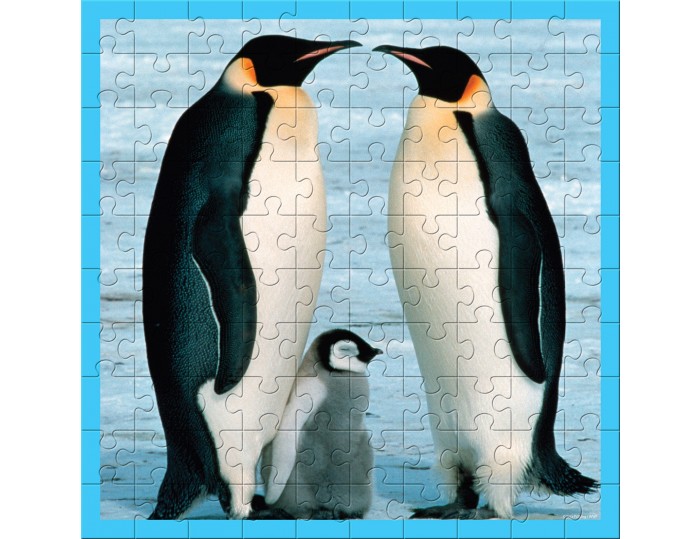 WWF Animal 100 pc puzzles - Baby Penguin