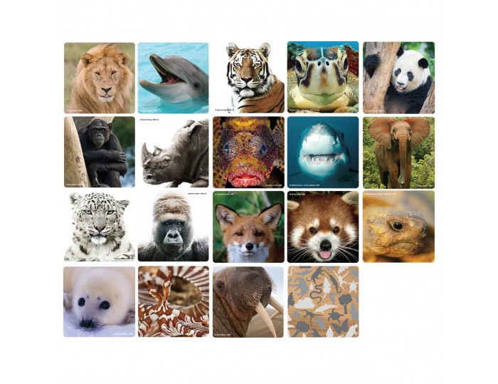 WWF Matching Game - #Selfies