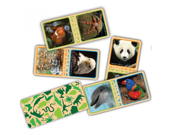 WWF Wildlife Dominoes