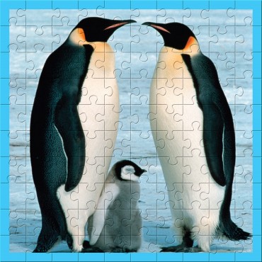 WWF Animal 100 pc puzzles - Baby Penguin