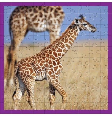 WWF 100 pc puzzle - Giraffes
