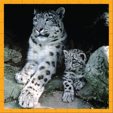 WWF 100 pc puzzle - Snow Leopards
