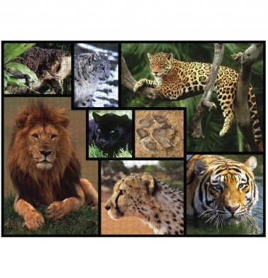 WWF 1000 piece puzzle - Wild Cats
