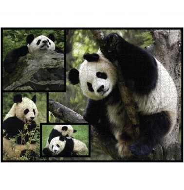 WWF 1000 piece puzzle - Pandas
