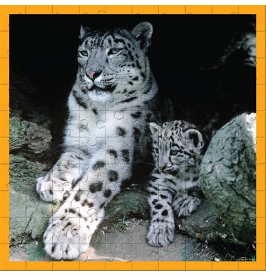 WWF 100 pc puzzle - Snow Leopards