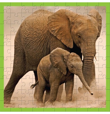 WWF 100 pc puzzle - Elephants