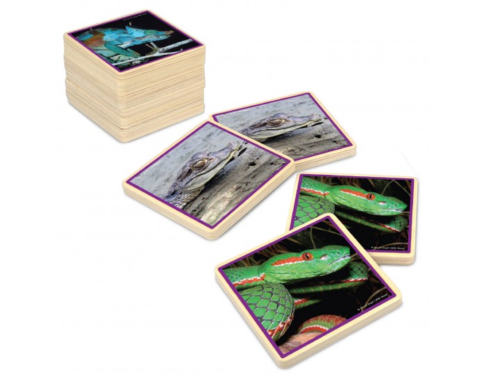 WWF Reptiles Matching Game