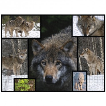 WWF 1000 piece puzzle - Wolves