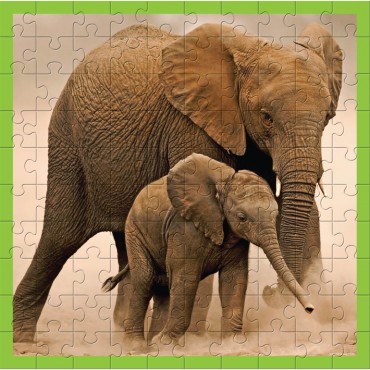 WWF 100 pc puzzle - Elephants