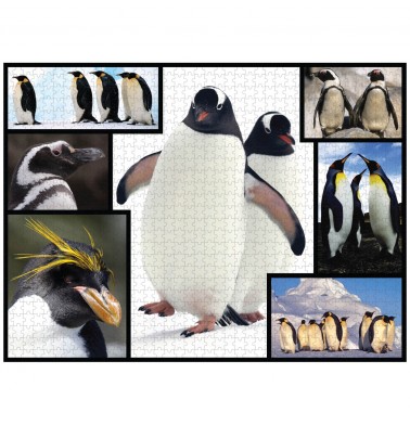 WWF 1000 piece puzzle - Penguins