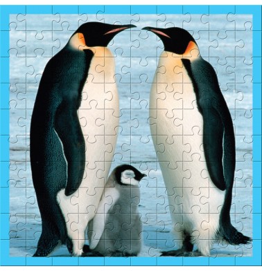WWF Animal 100 pc puzzles - Baby Penguin