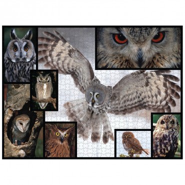 WWF 1000 piece puzzle - Owls