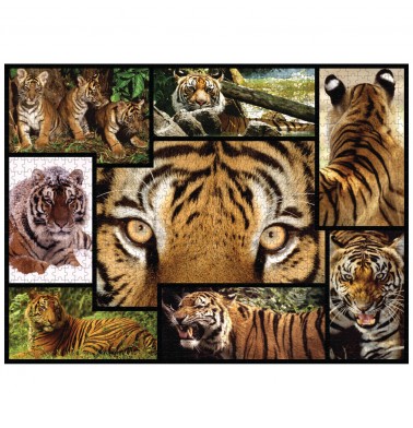WWF 1000 piece puzzle - Tigers