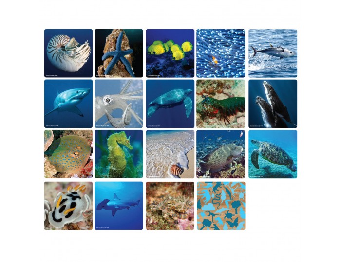 WWF Matching Game - Marine