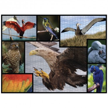 WWF 1000 piece puzzle - Birds