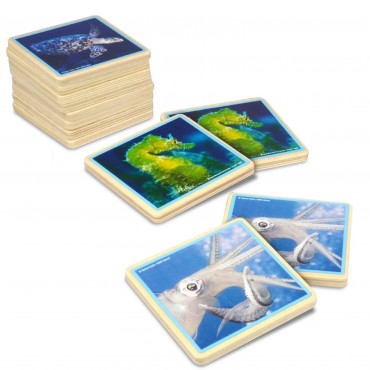 WWF Marine Matching Game