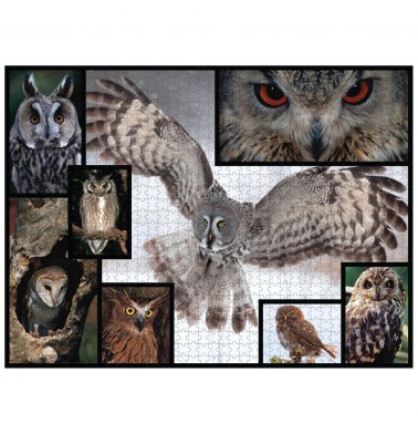 WWF 1000 piece puzzle - Owls