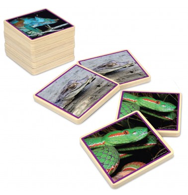 WWF Reptiles Matching Game