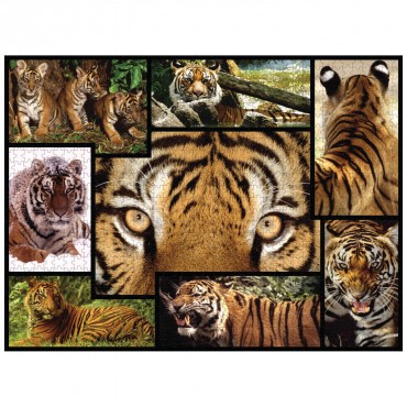 WWF 1000 piece puzzle - Tigers
