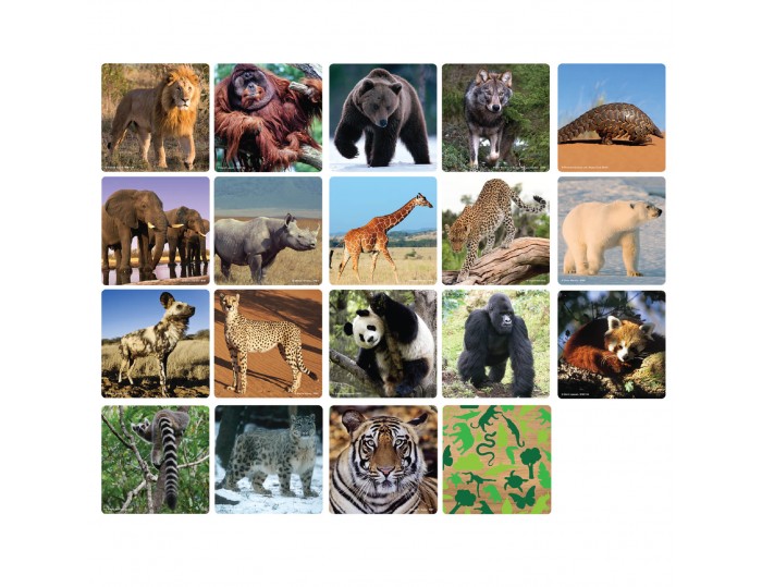 WWF Matching Game - Mammals