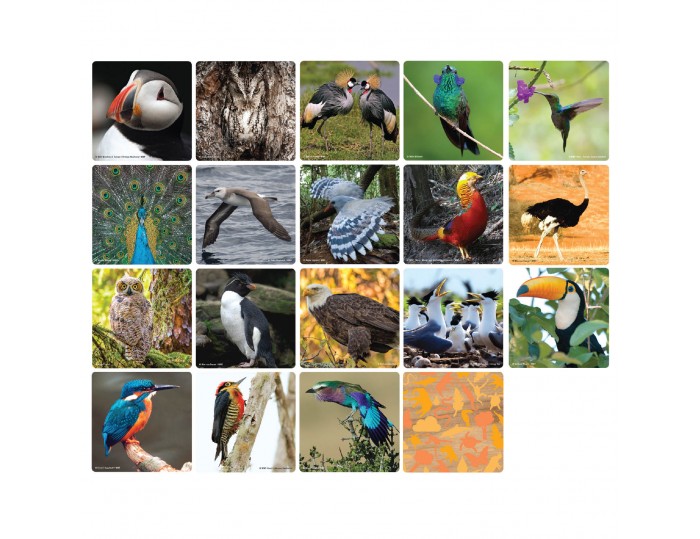 WWF Matching Game - Birds