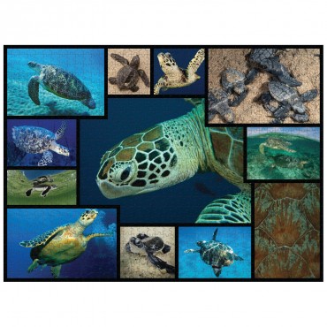 WWF 1000 piece puzzle - Sea Turtles