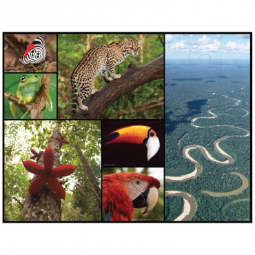 WWF Floor Puzzle - The Amazon