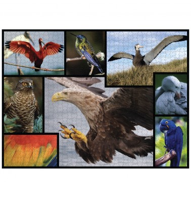WWF 1000 piece puzzle - Birds